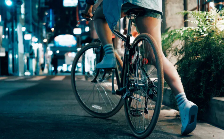 Our furry friends and faithful companions